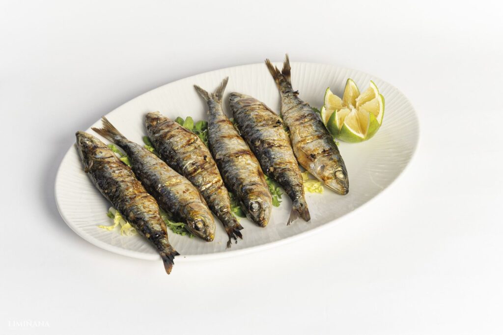 whatsapp image 2026 02 24 at 15.20.50 (1)