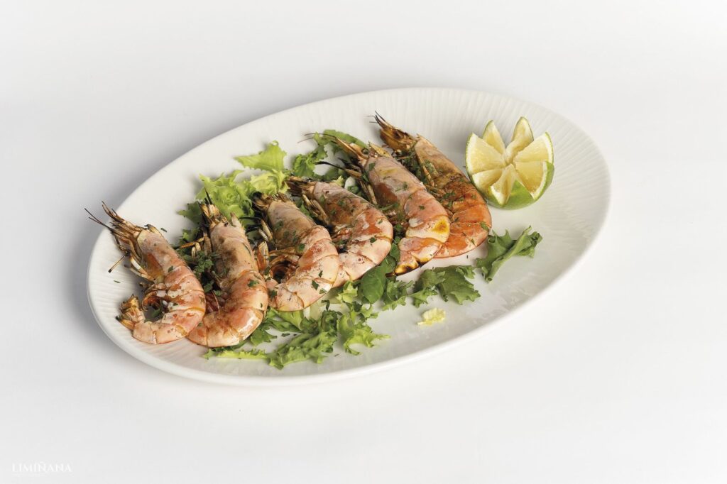 whatsapp image 2026 02 24 at 15.20.50